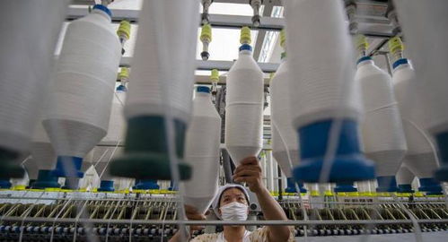 三重困境下的外貿工廠 接單、履約與收款之難，國內貿易轉型路在何方？